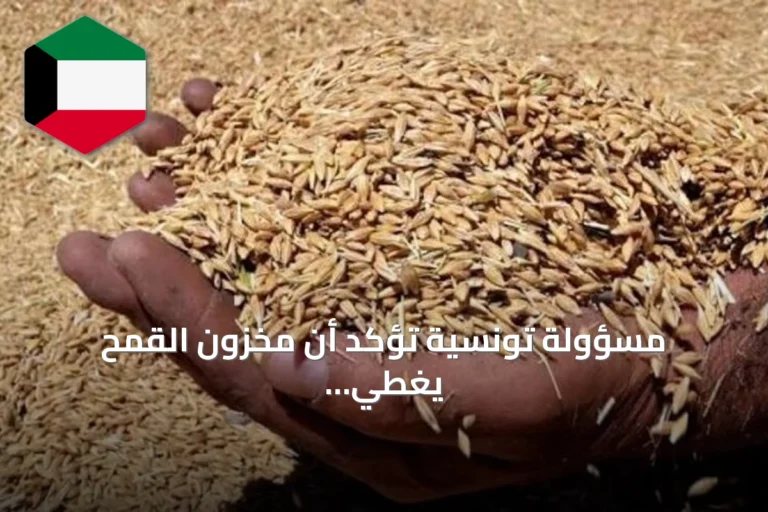 مسؤولة تونسية تؤكد أن مخزون القمح يغطي احتياجات البلاد حتى يناير