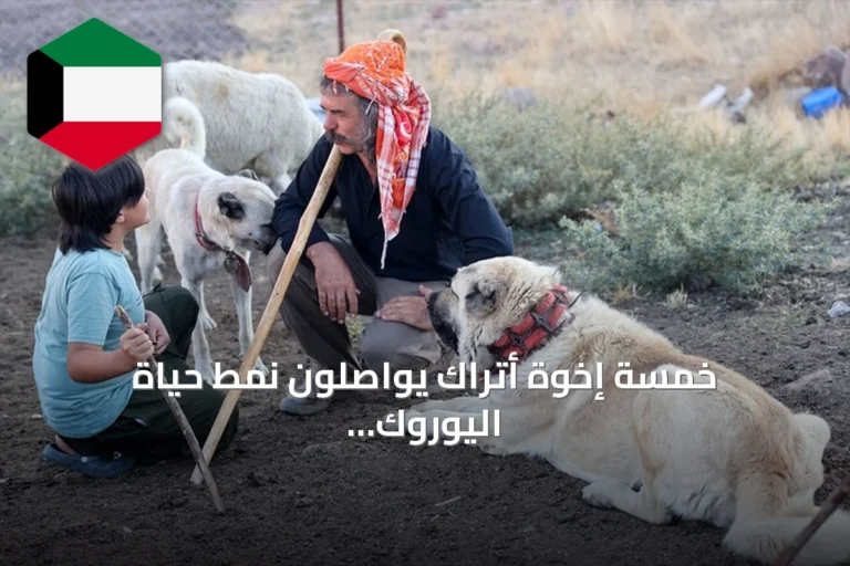 خمسة إخوة أتراك يواصلون نمط حياة اليوروك التقليدي في أفيون قرا حصار