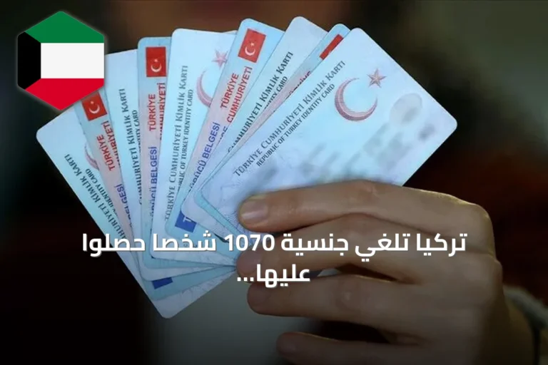 تركيا تلغي جنسية 1070 شخصاً حصلوا عليها عبر مبيعات عقارية صورية