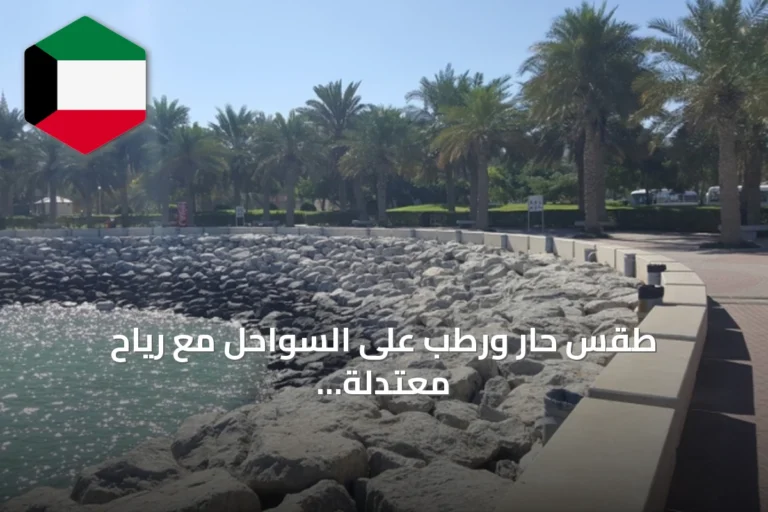 طقس حار ورطب على السواحل مع رياح معتدلة ودرجات حرارة تصل إلى 46°