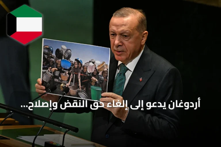 أردوغان يدعو إلى إلغاء حق النقض وإصلاح هيكلي لمجلس الأمن الدولي