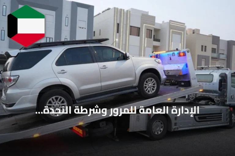 الإدارة العامة للمرور وشرطة النجدة تُنفذان حملات أمنية أسبوعية تسفر عن نحو 29 ألف مخالفة