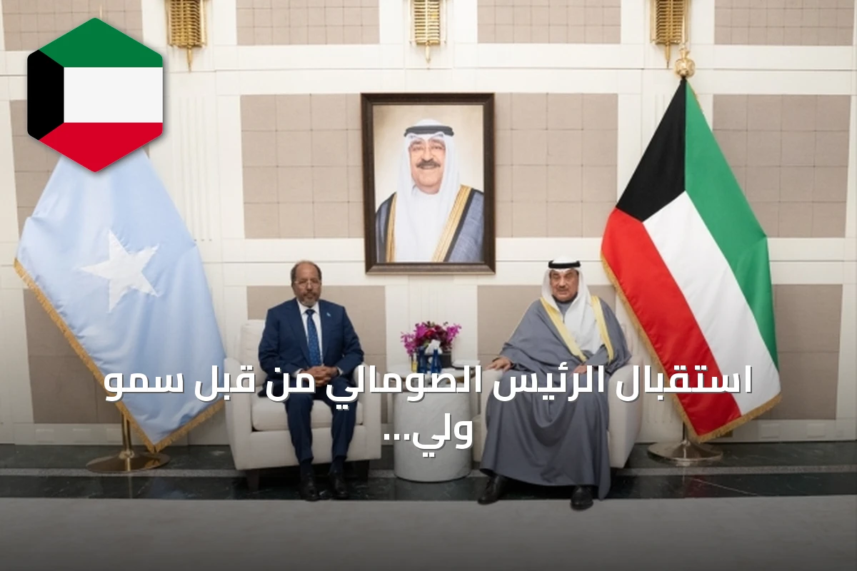 استقبال الرئيس الصومالي من قبل سمو ولي العهد لدى الأمم المتحدة