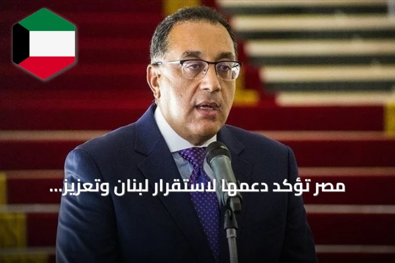 مصر تؤكد دعمها لاستقرار لبنان وتعزيز مؤسساته الوطنية خلال لقاء في نيويورك