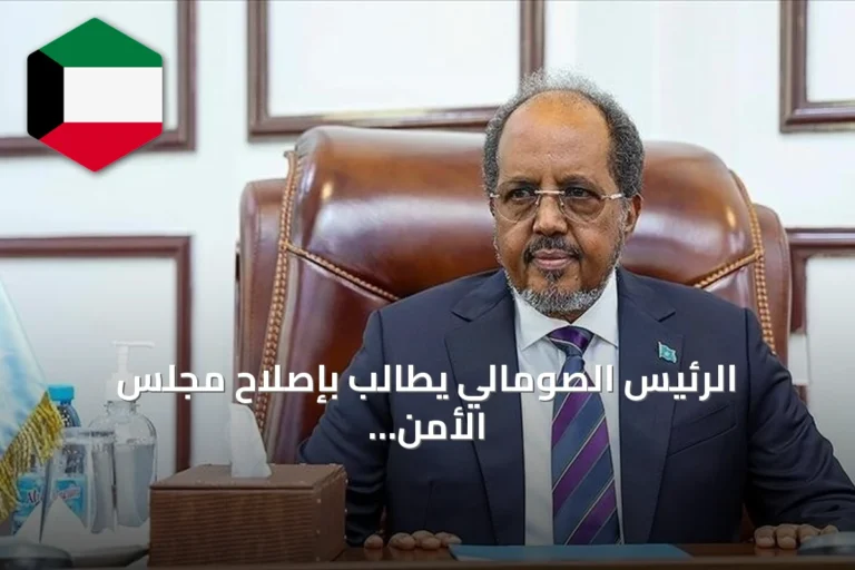 الرئيس الصومالي يطالب بإصلاح مجلس الأمن ويصف ضعف تمثيل إفريقيا بالظلم التاريخي