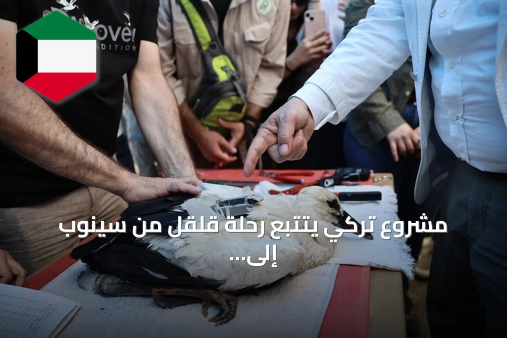 مشروع تركي يتتبع رحلة قلقل من سينوب إلى مصر وسوريا