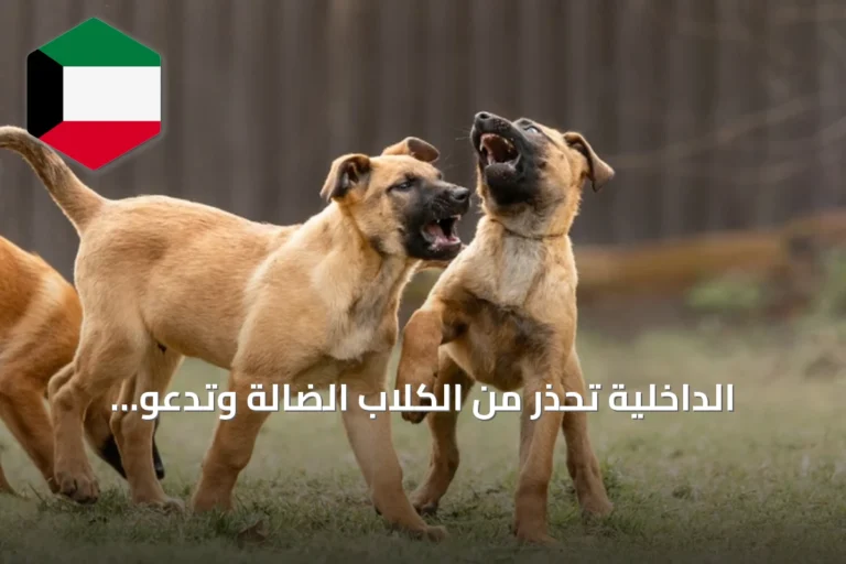 الداخلية تحذر من الكلاب الضالة وتدعو للإبلاغ الفوري