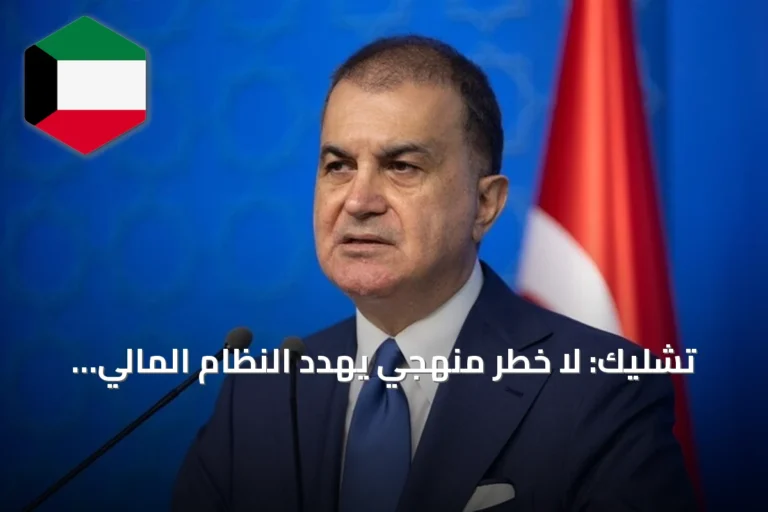 تشليك: لا خطر منهجي يهدد النظام المالي والاقتصادي في تركيا