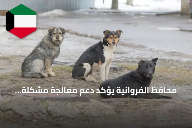 محافظ الفروانية يؤكد دعم معالجة مشكلة الكلاب الضالة ويستقبل السفير الكوري