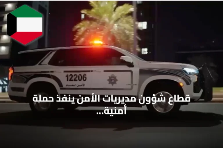 قطاع شؤون مديريات الأمن ينفذ حملة أمنية واسعة في محافظة العاصمة