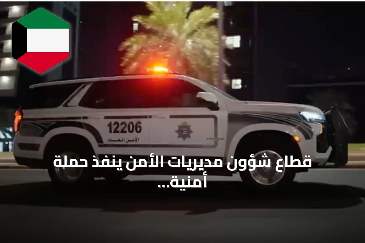 قطاع شؤون مديريات الأمن ينفذ حملة أمنية واسعة في محافظة العاصمة