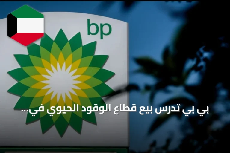 بي بي تدرس بيع قطاع الوقود الحيوي في البرازيل
