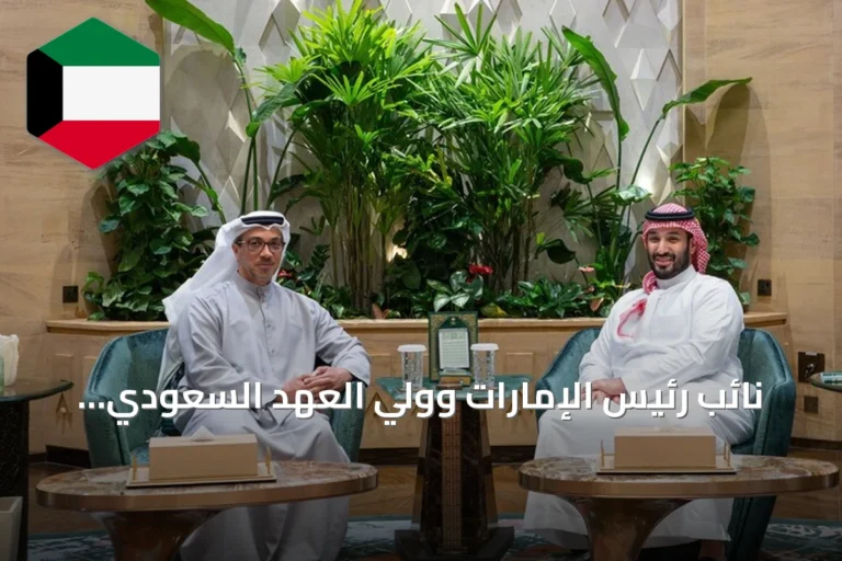 نائب رئيس الإمارات وولي العهد السعودي يبحثان تطورات المنطقة في ظل تصاعد التوترات