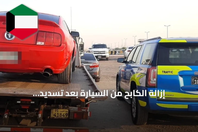 إزالة الكابح من السيارة بعد تسديد المخالفة: ثلاث خطوات مبسطة