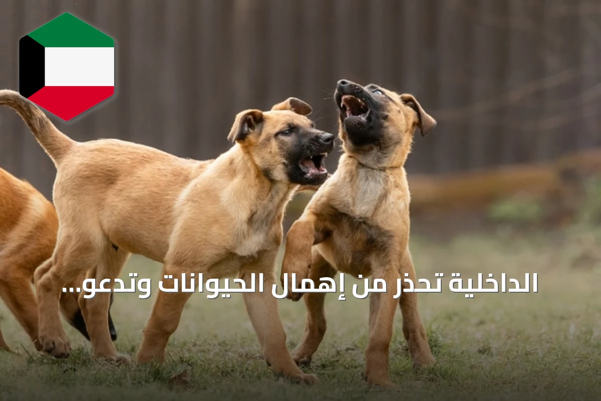 الداخلية تحذر من إهمال الحيوانات وتدعو للإبلاغ عن الحالات الطارئة