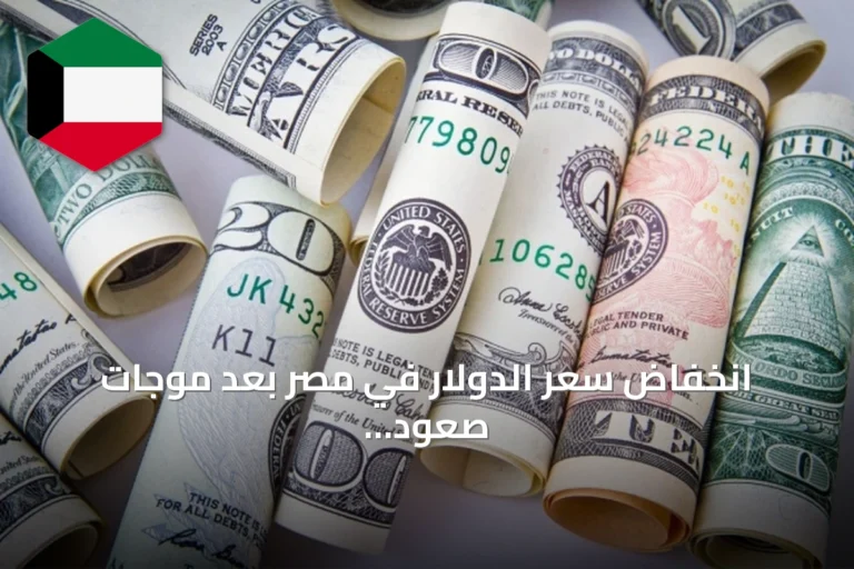 انخفاض سعر الدولار في مصر بعد موجات صعود قياسية