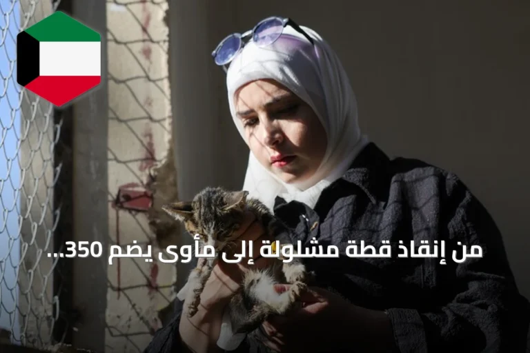 من إنقاذ قطة مشلولة إلى مأوى يضم 350 حيواناً.. سورية تواصل رحلة العناية بالحيوانات في حمص
