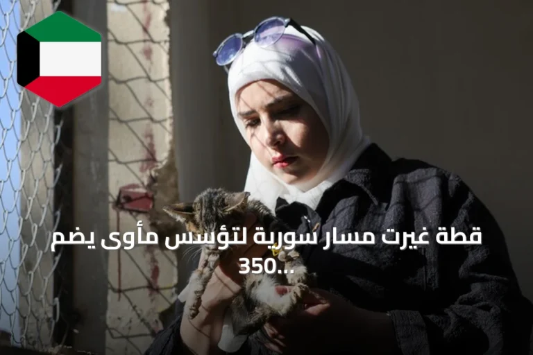 قطة غيرت مسار سورية لتؤسس مأوى يضم 350 حيواناً في حمص