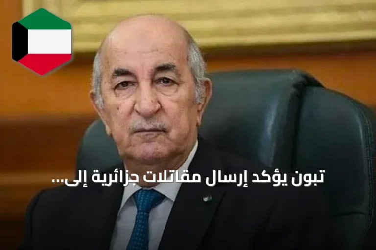 تبون يؤكد إرسال مقاتلات جزائرية إلى النيجر عقب محاولة انقلابية