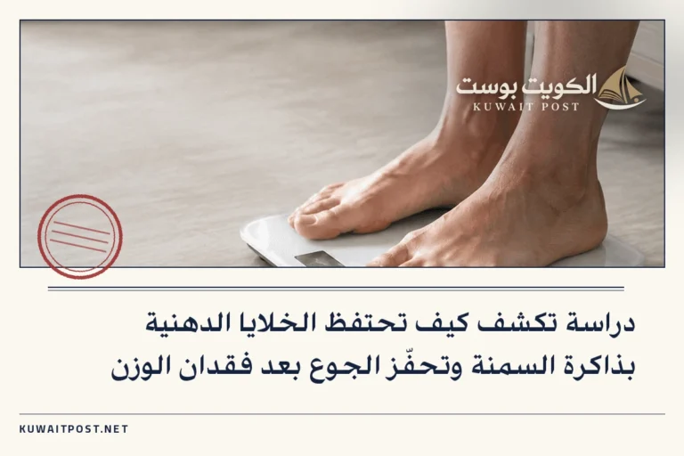 دراسة تكشف كيف تحتفظ الخلايا الدهنية بذاكرة السمنة وتحفّز الجوع بعد فقدان الوزن