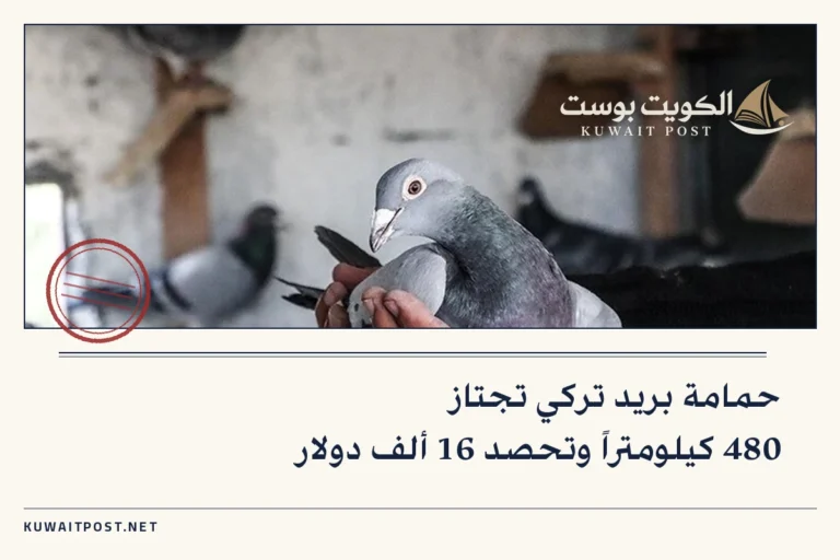 حمامة بريد تركي تجتاز 480 كيلومتراً وتحصد 16 ألف دولار