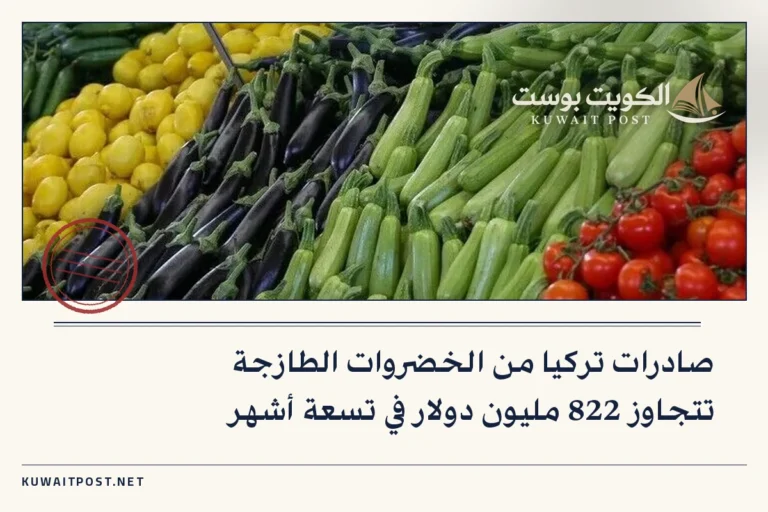 صادرات تركيا من الخضروات الطازجة تتجاوز 822 مليون دولار في تسعة أشهر