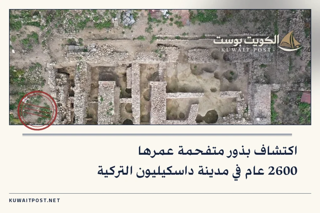 اكتشاف بذور متفحمة عمرها 2600 عام في مدينة داسكيليون التركية