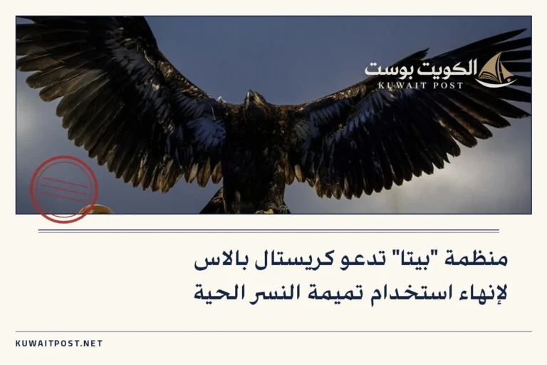 منظمة “بيتا” تدعو كريستال بالاس لإنهاء استخدام تميمة النسر الحية