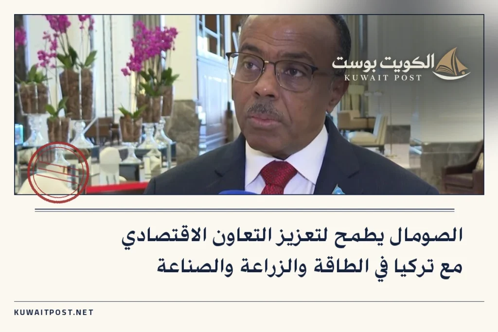 الصومال يطمح لتعزيز التعاون الاقتصادي مع تركيا في الطاقة والزراعة والصناعة