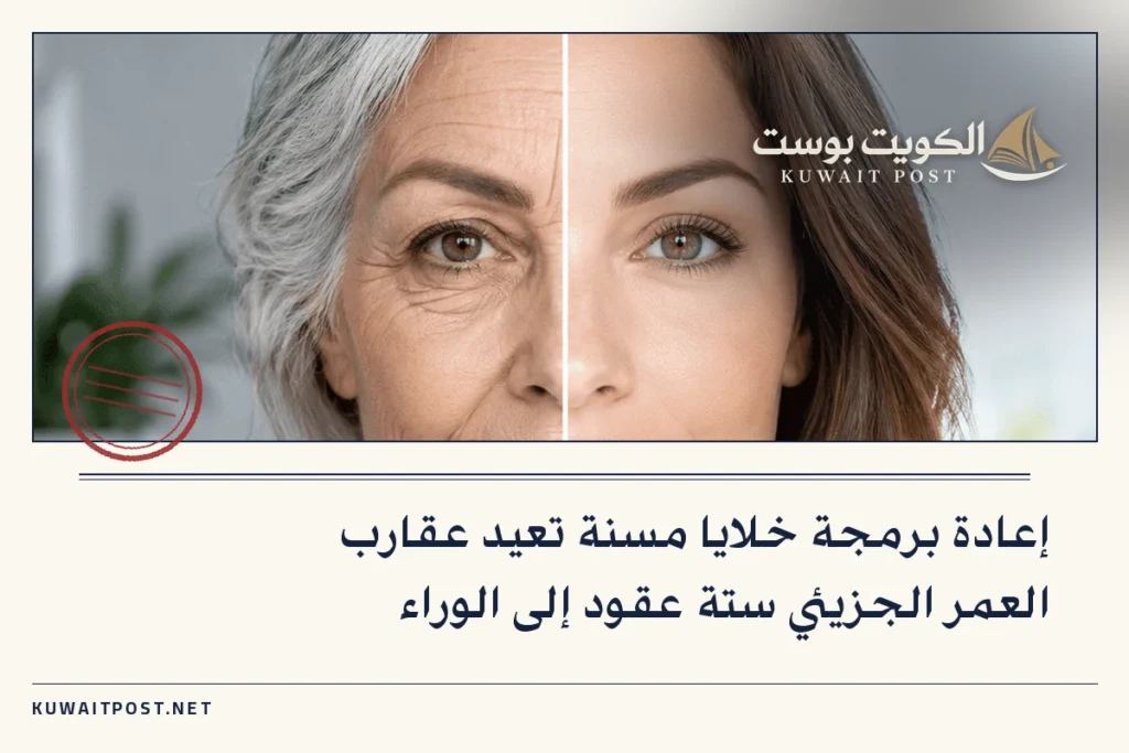 إعادة برمجة خلايا مسنة تعيد عقارب العمر الجزيئي ستة عقود إلى الوراء