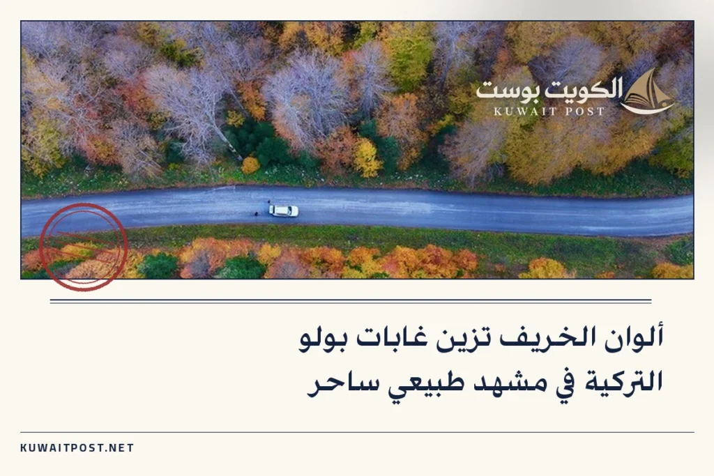 ألوان الخريف تزين غابات بولو التركية في مشهد طبيعي ساحر