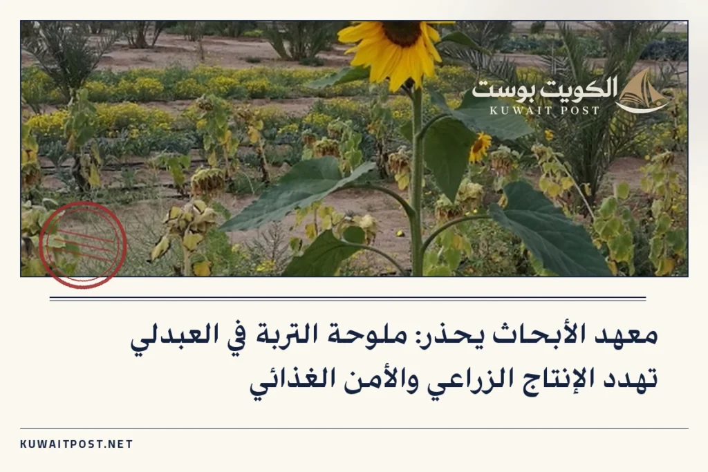 معهد الأبحاث يحذر: ملوحة التربة في العبدلي تهدد الإنتاج الزراعي والأمن الغذائي
