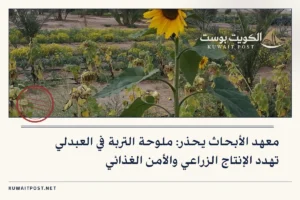 معهد الأبحاث يحذر: ملوحة التربة في العبدلي تهدد الإنتاج الزراعي والأمن الغذائي